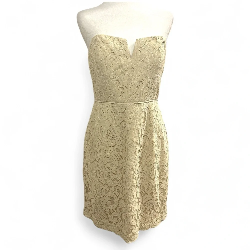 NEW J.Crew Kelsey Strapless Dress in Leavers Lace Size 8 Style b7678 Champagne